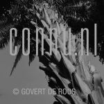 20-04-2007 Egypte.

[keywords]Black & White Image, Palm tree[/keywords]